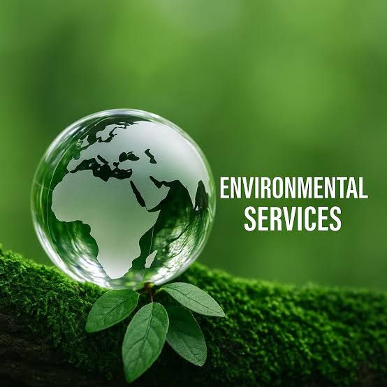 Environmental Services
